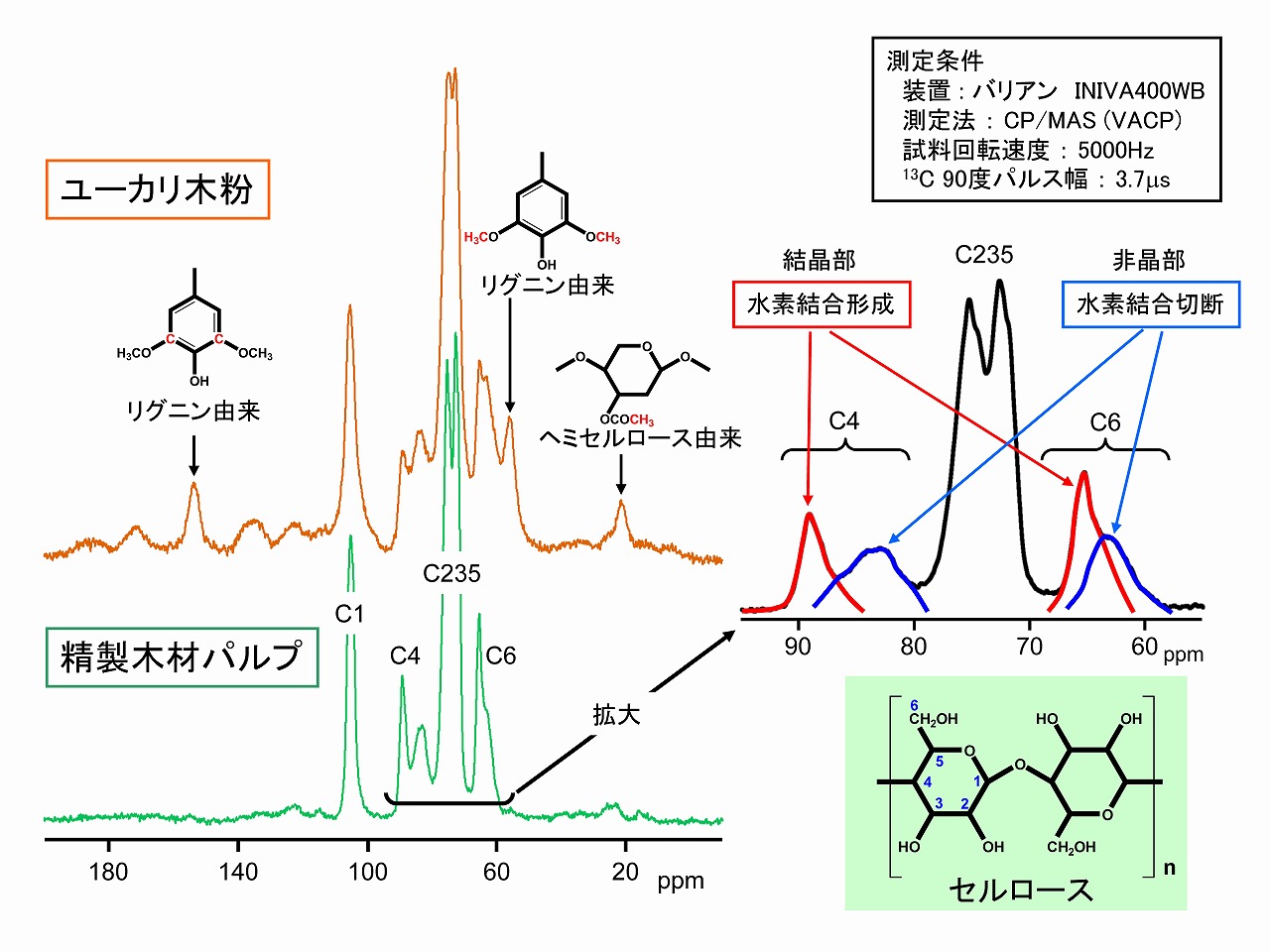 セルロースの結晶性・固体NMR